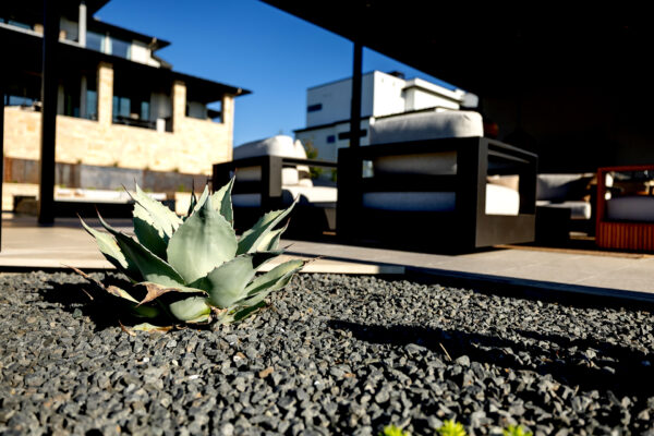 central texas landscaping services