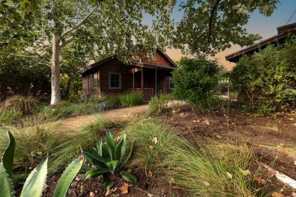 central texas landscaping services