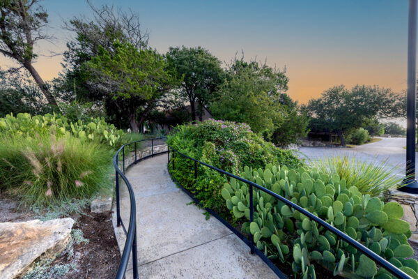 central texas landscaping services