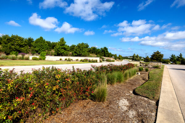 central texas landscaping services