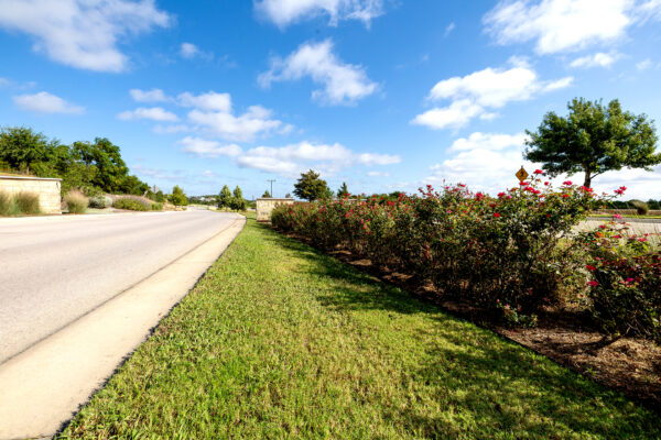 central texas landscaping services