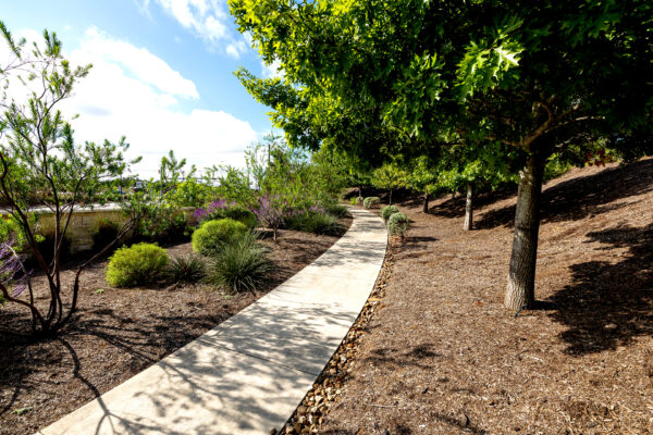central texas landscaping services