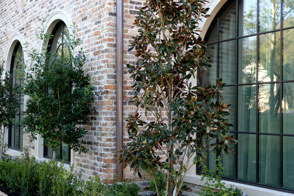 central texas landscaping services