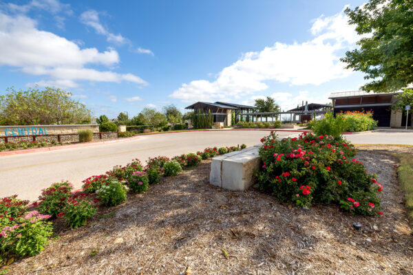 central texas landscaping services