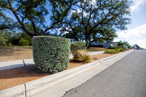 central texas landscaping services