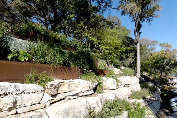 central texas landscaping services