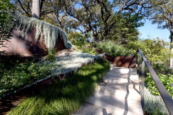 central texas landscaping services